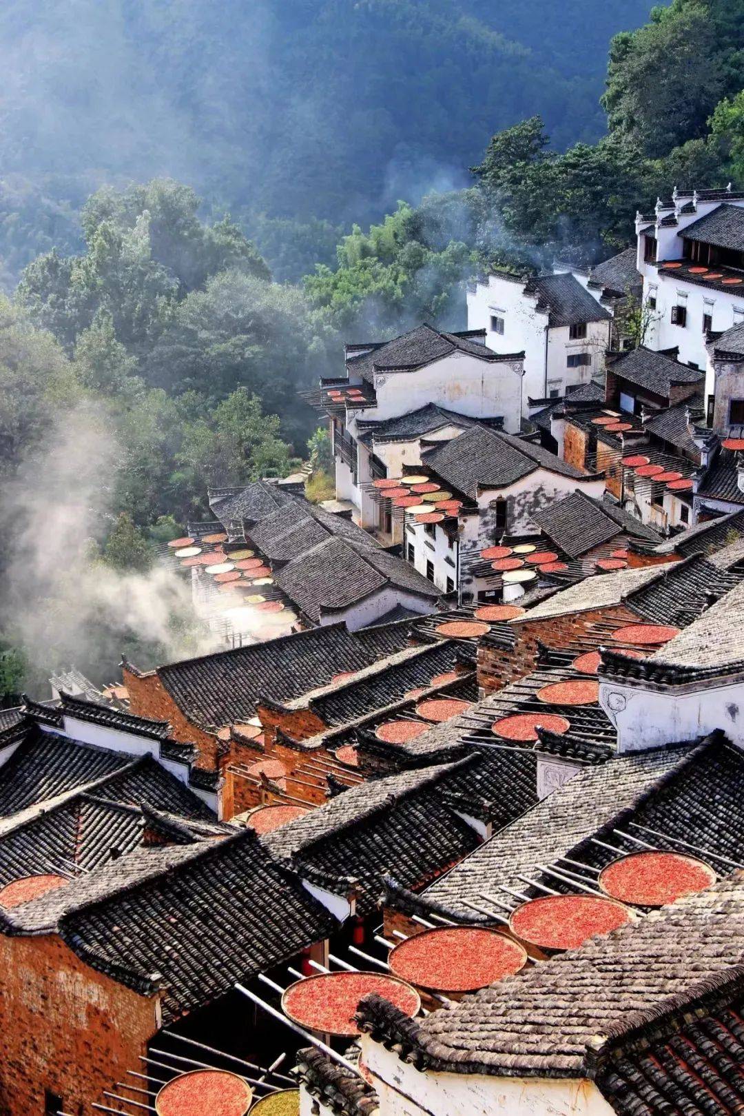 江西,文化、经济与发展多维视角的深入探讨