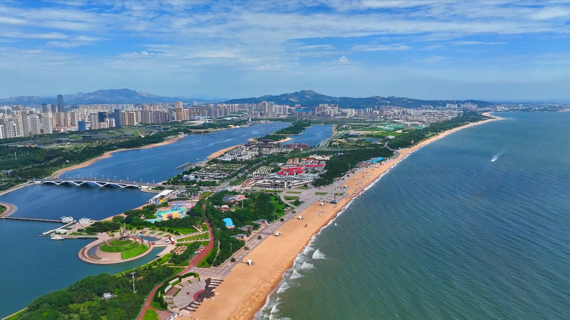 山东技能学习指南，从入门到进阶的全方位指南